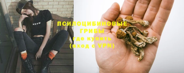 кокс Гусев