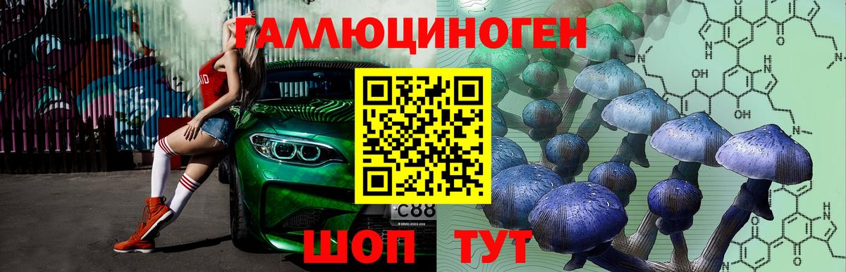 Тольятти  Галлюциногенные грибы Psilocybine cubensis  Вход с VPN 