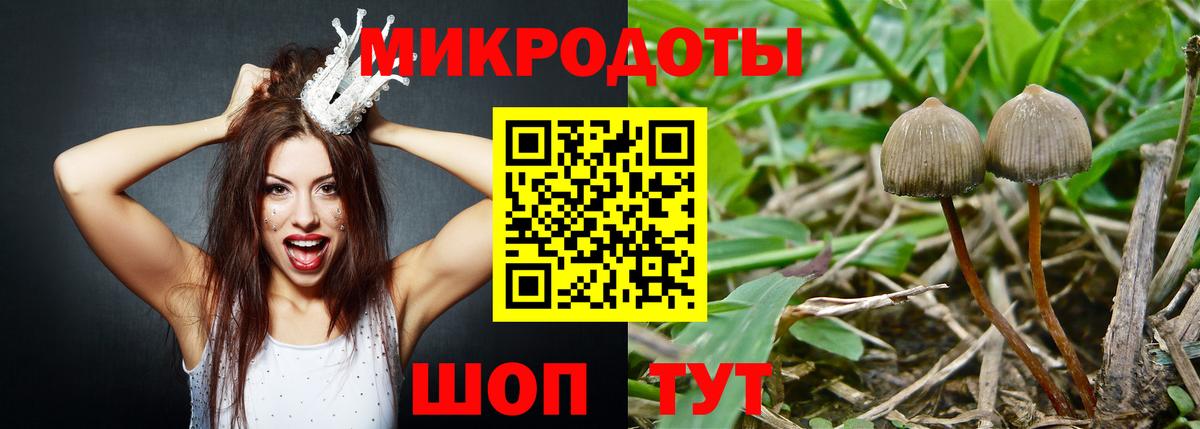 Псилоцибиновые грибы ЛСД Тольятти